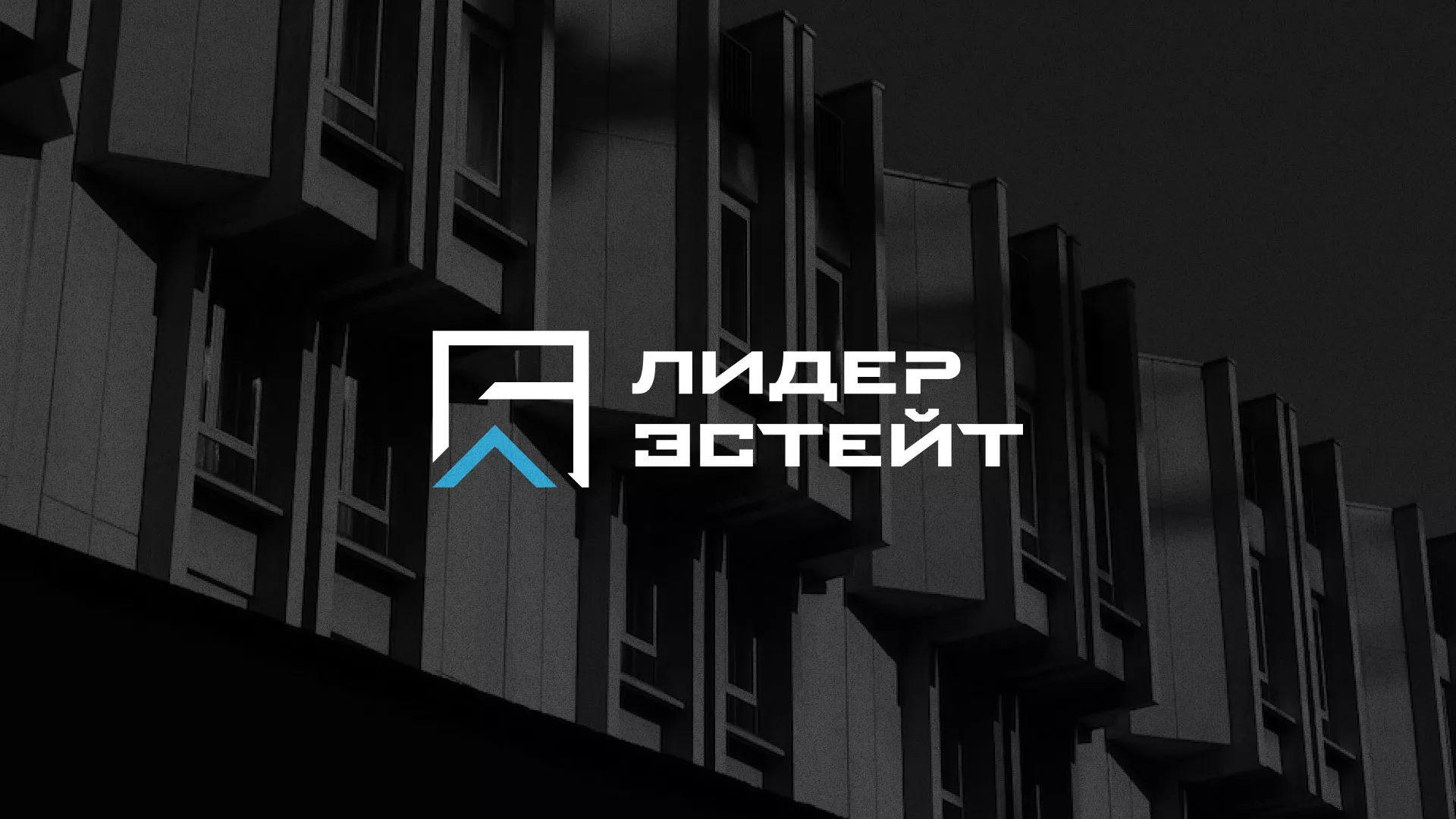 Разработка логотипа агентства недвижимости «Лидер Эстейт» в Липках